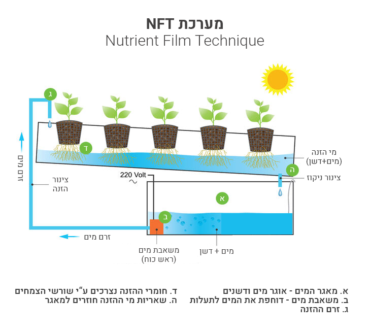 מערכת הידרו NFT מדריך תחזוקה