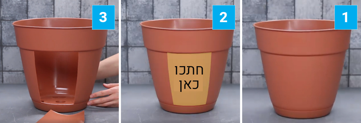 נקי, פשוט וגאוני! מדריך עשה זאת בעצמך לגידול תפוחי אדמה גם בבית ללא גינה