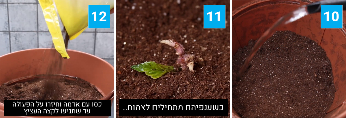 כשהם גדלים