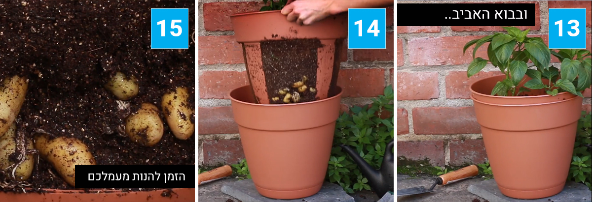 הוציאו את העציץ הפנימי