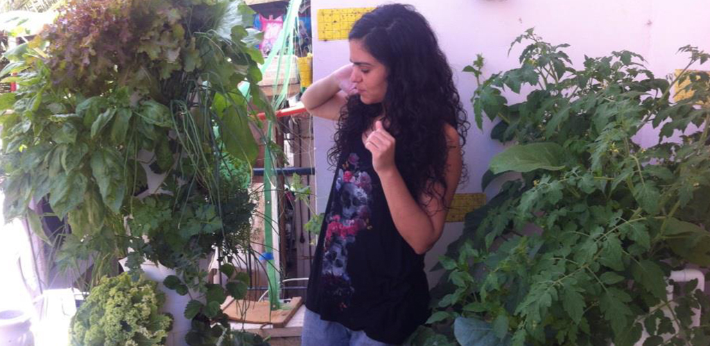 גידול בהידרופוניקה במרפסת הבית