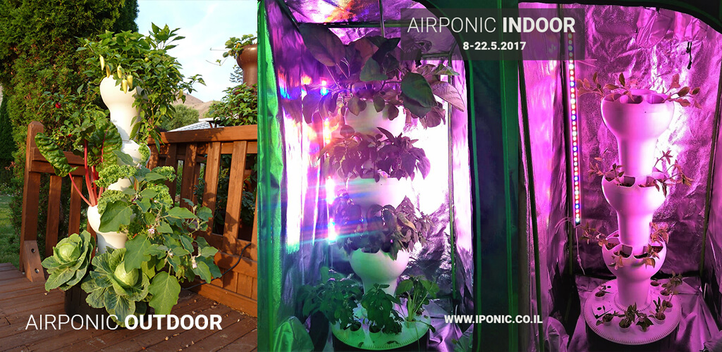 גידול הידרו בתוך הבית INDOOR