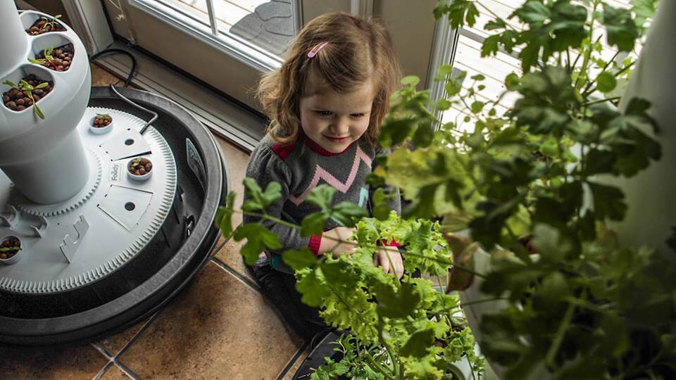 ילדה עם מערכת הידרופונית פודי