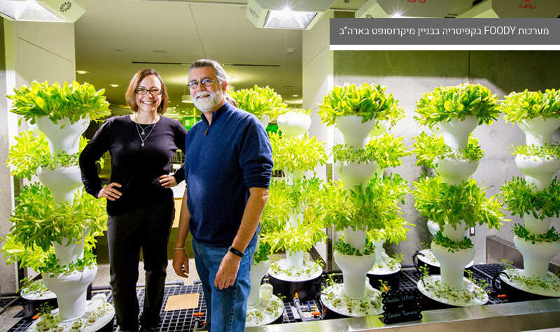 גידול הידרו במבנים סגורים