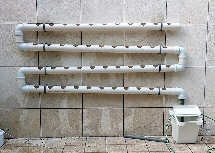 התקנת מערכת הידרופונית בבית