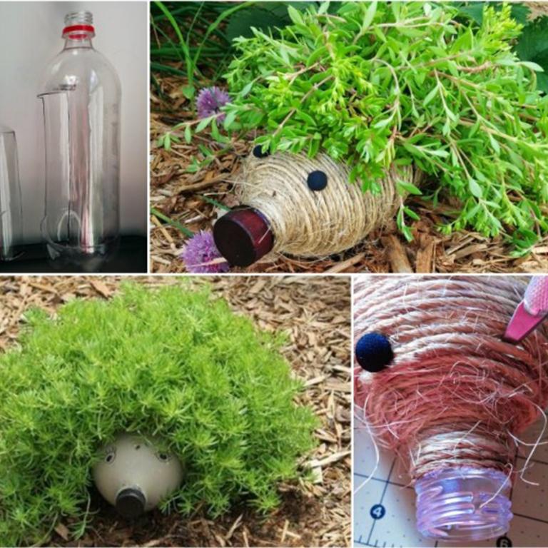 גינת קיפוד 2