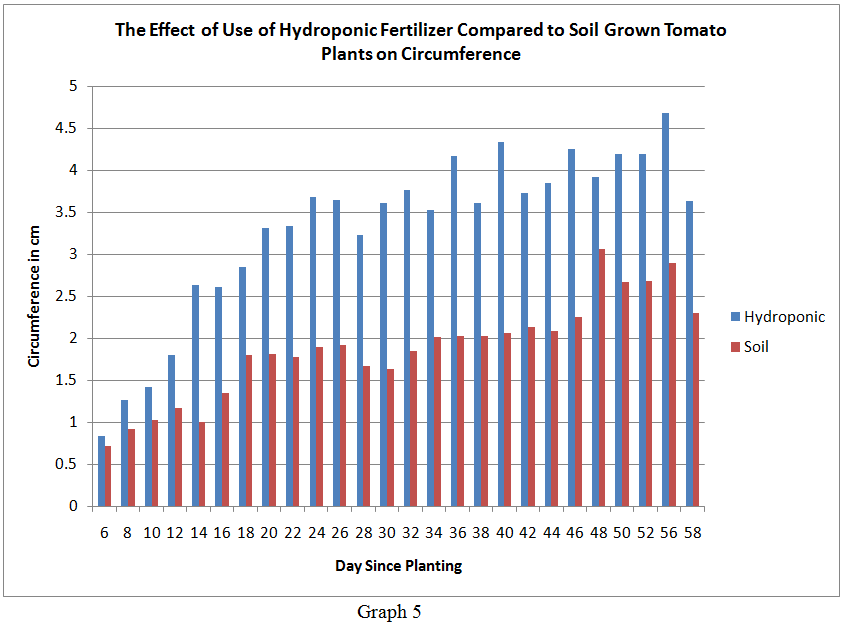 ניסוי עגבניות בבית ספר