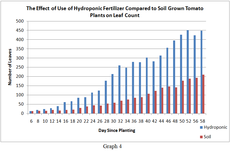ספירת עלים בעגבניה הידרופונית לעומת שגודלה באדמה