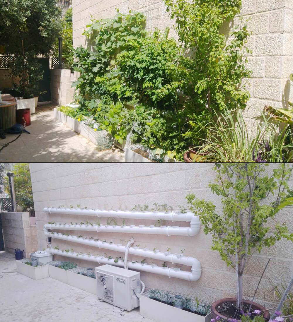 הידרופוניקה אנכית