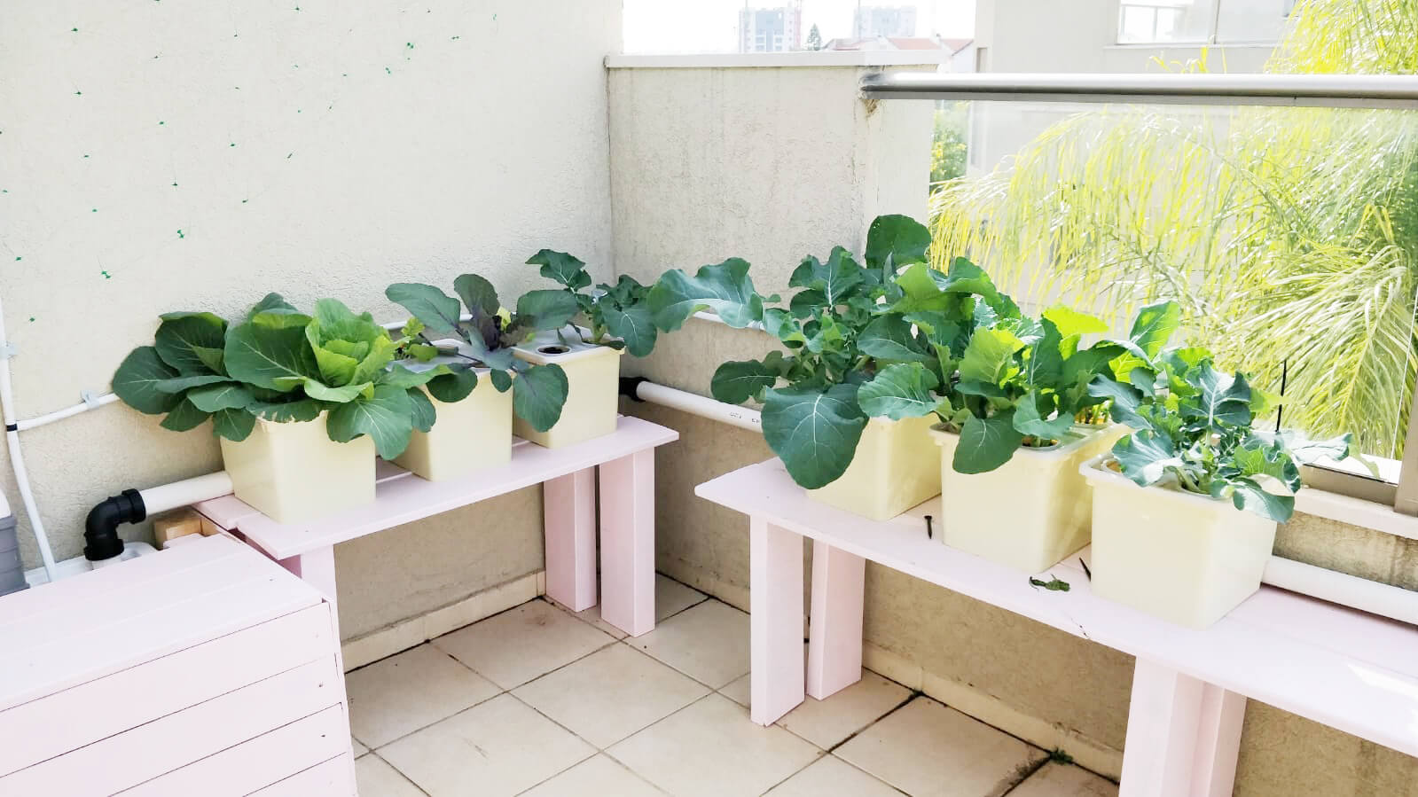 דליים הולנדים הידרופונים לגידול ירקות גדולים