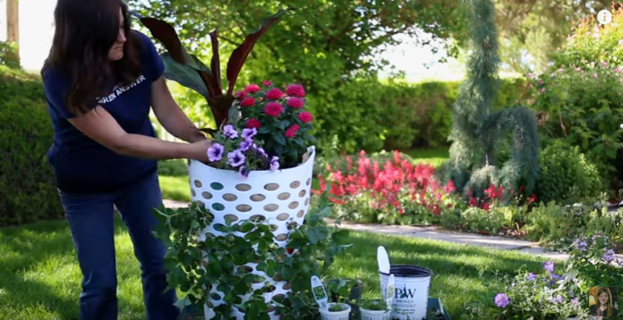 גינת פרחים ותותים בסל כביסה